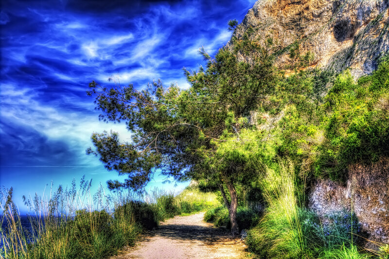 Path Near Rocky Cliff