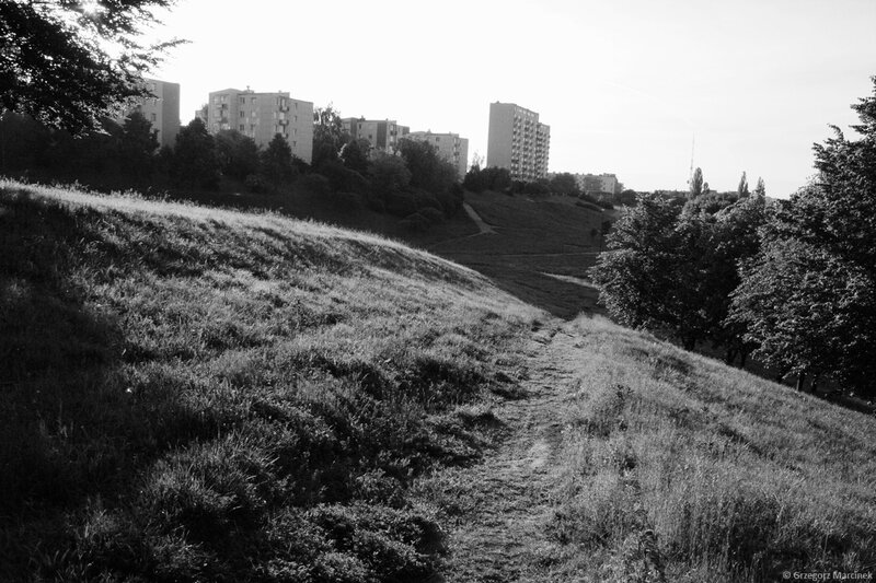 Path on a grassy hill