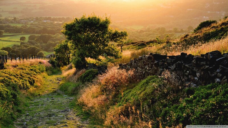 Path on a Hillside — Green, Serene, Sunset