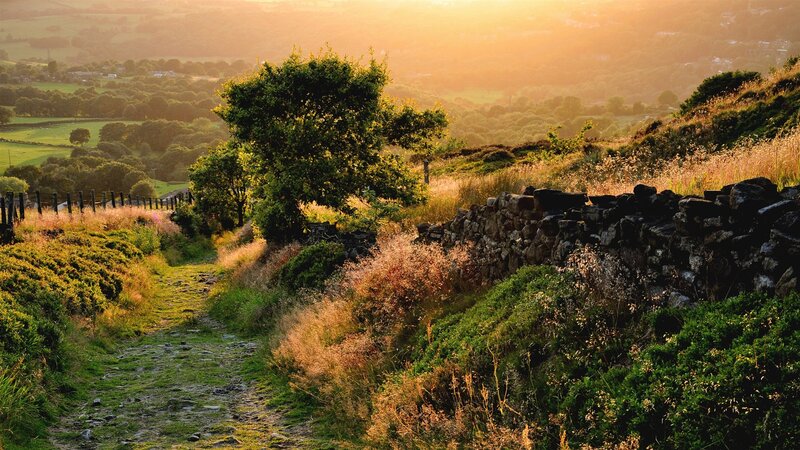 Path on a Hillside