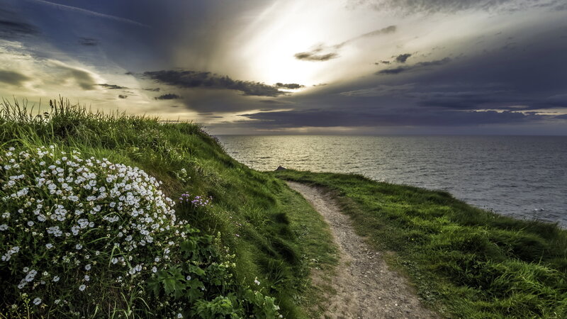 Path on Grassy Cliff — Green