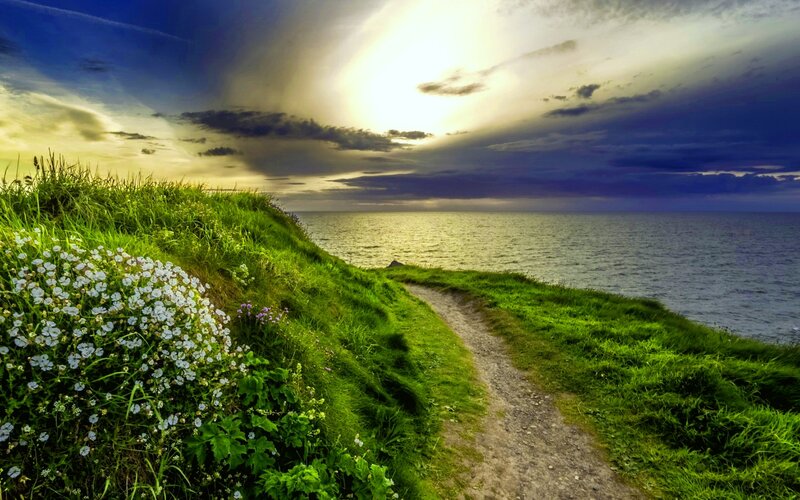 Path on Grassy Cliff