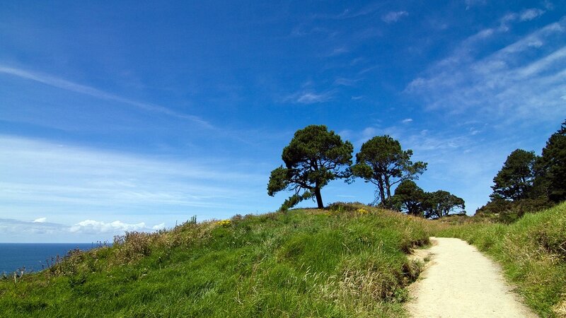 Path on Grassy Hill — Blue