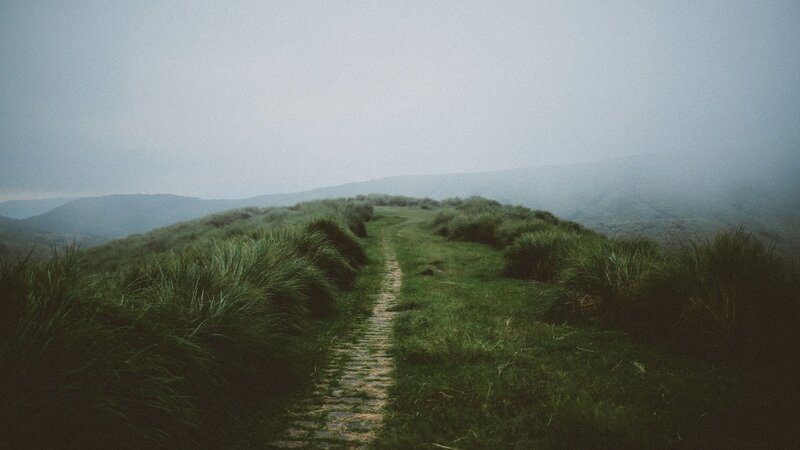 Path on Grassy Hill — Green