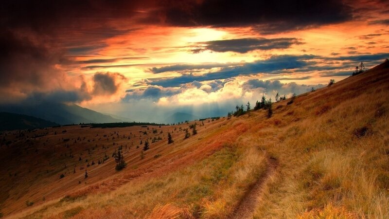 Path on Grassy Hill — Orange