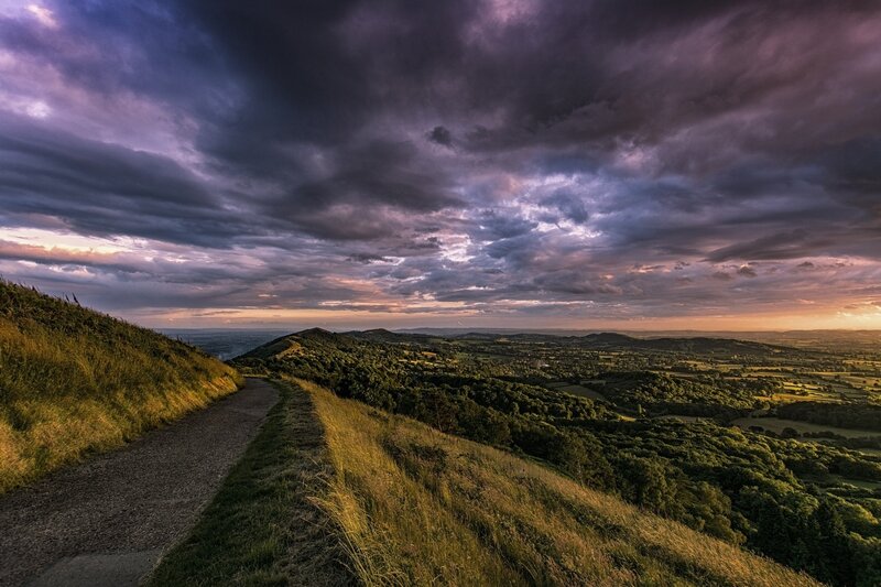 Path on Grassy Hill — Purple