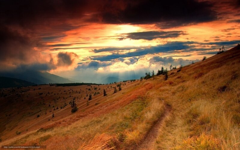 Path on Grassy Hillside