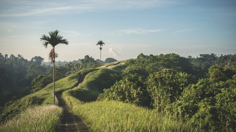 Path on Green Hillside