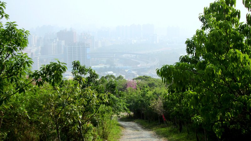 Path Overlooking City