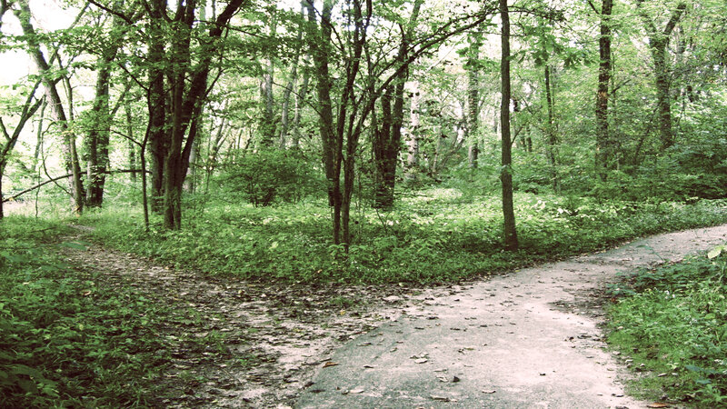 Path Splitting in Forest