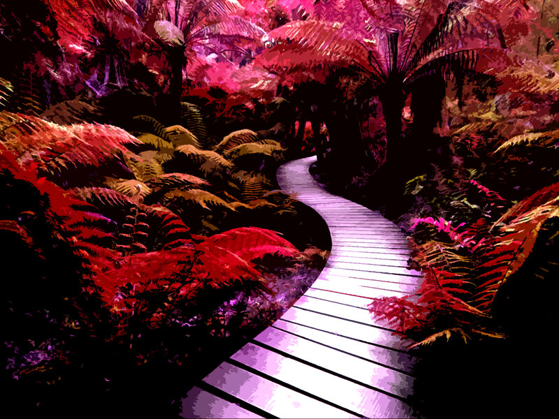 Path through a colorful forest