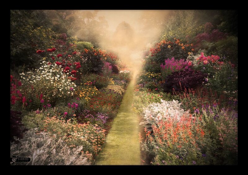 Path through a colorful garden