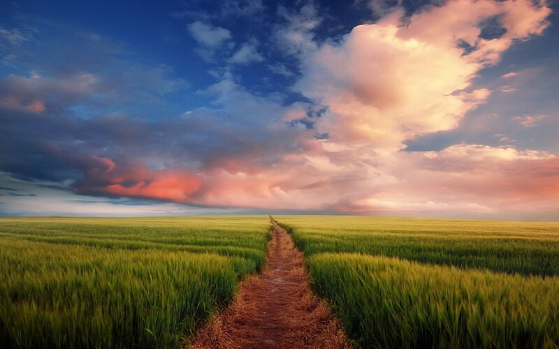 Path through a green field at sunset