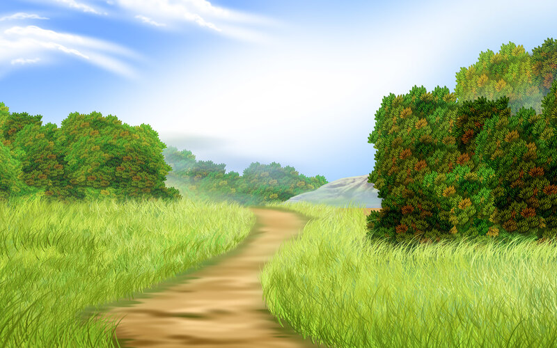 Path through a green meadow