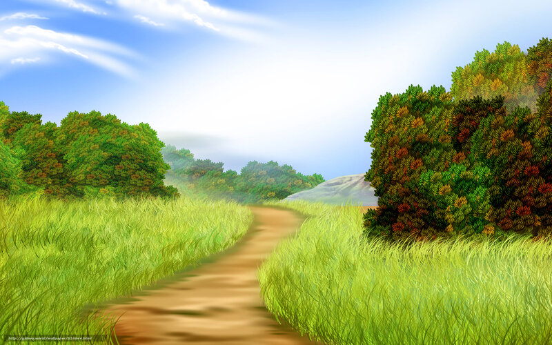 Path through a green meadow