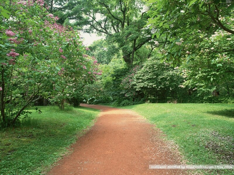 Path through a green park