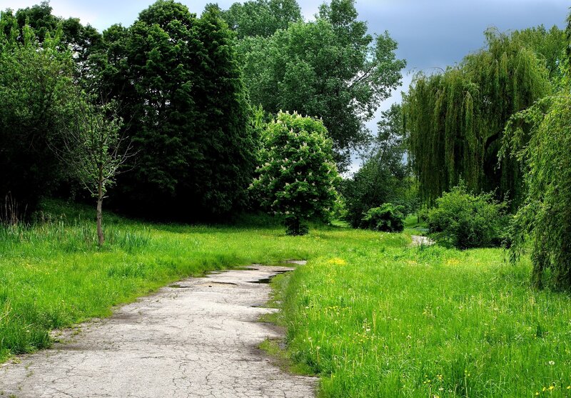 Path through a green park