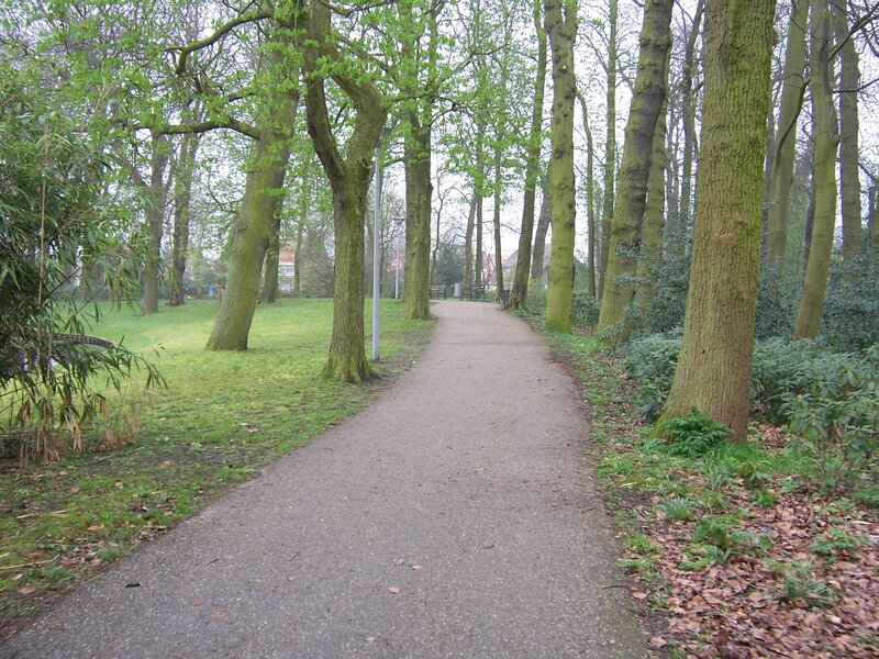 Path through a leafy park