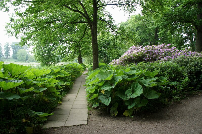 Path through a lush garden