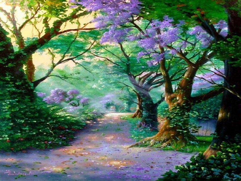 Path through a purple-flowered forest