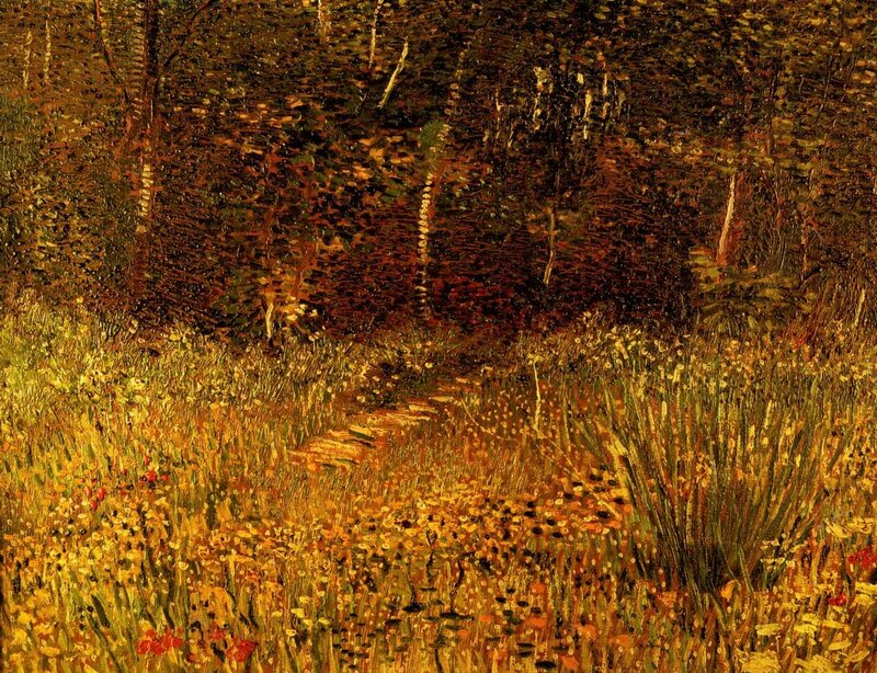 Path through a sunlit meadow
