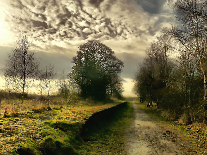 Path through a wooded landscape