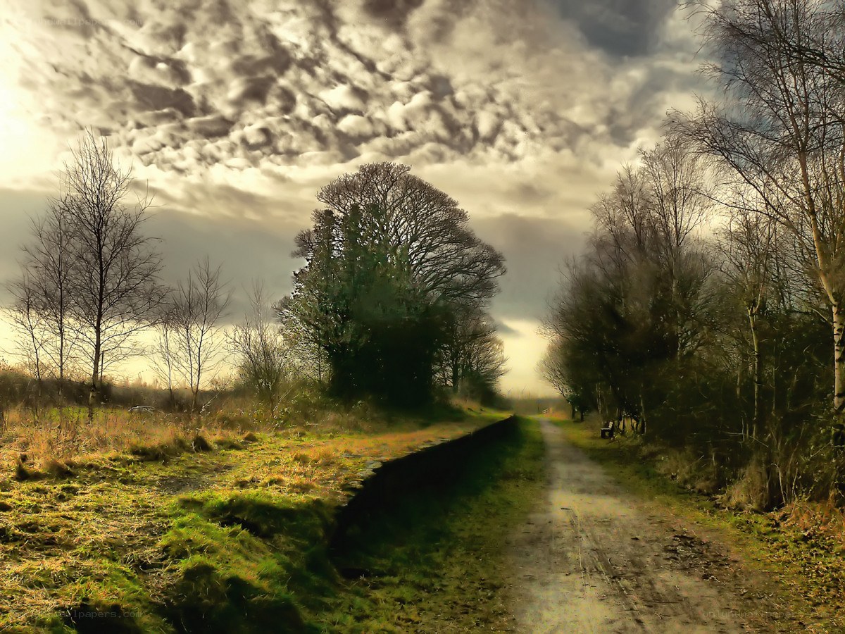 Path through a wooded landscape