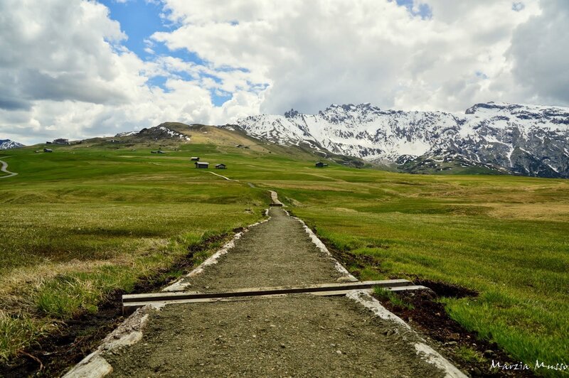 Path Through Alpine Meadow