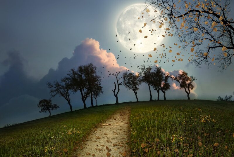 Path Through Autumn Field — Green, Dramatic, Night