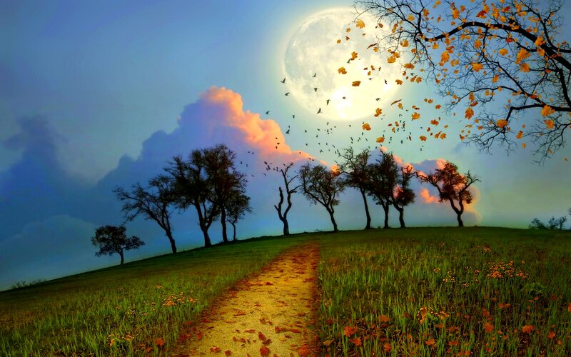 Path Through Autumn Field — Green