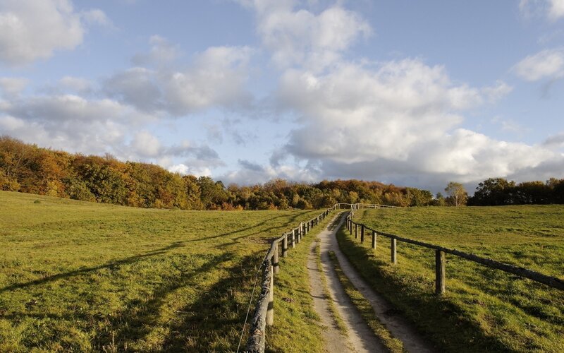 Path through autumn fields