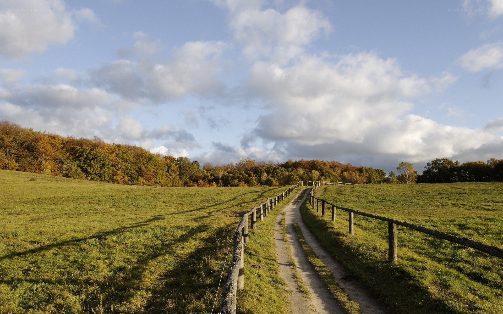 Path through autumn fields
