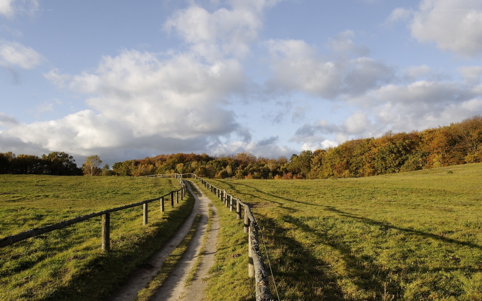 Path through autumn fields