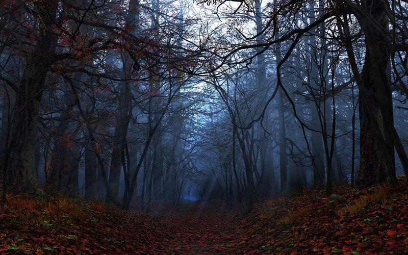 Path Through Autumn Forest — Blue, Mysterious, Digital Art