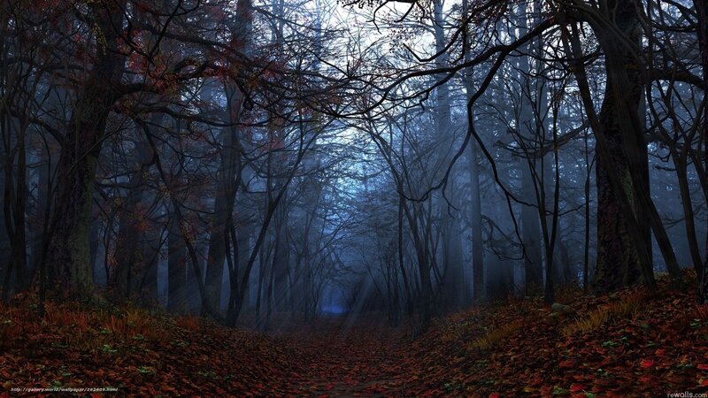 Path Through Autumn Forest — Blue, Mysterious