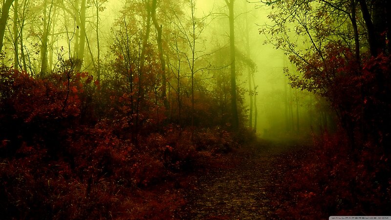 Path Through Autumn Forest — Green, Mysterious
