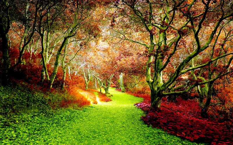 Path Through Autumn Forest — Green, Serene, Digital Art, Trees