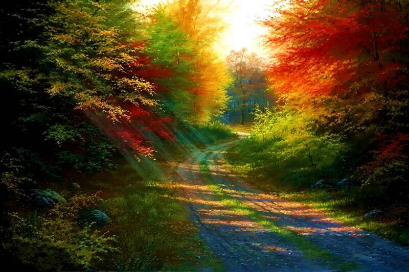 Path Through Autumn Forest — Green, Serene, Painting, Trees, Sunlight