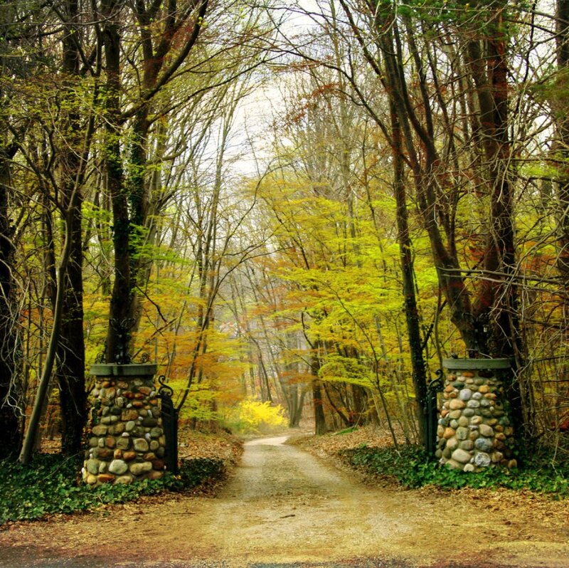 Path Through Autumn Forest — Green, Serene, Photograph, Trees, Stone Pillars