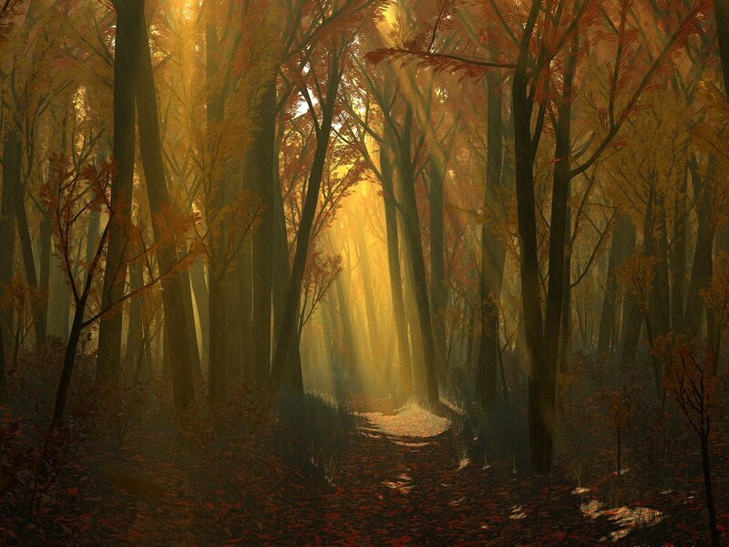 Path Through Autumn Forest — Orange, Serene, Digital Art, Trees, Sunlight, Leaves