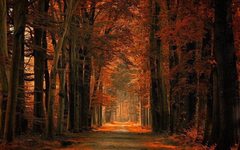 Path Through Autumn Forest — Orange, Serene, Digital Art, Trees