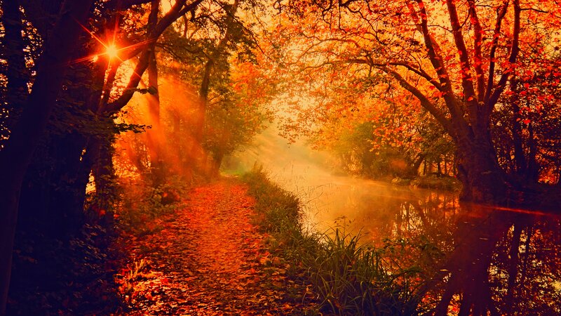 Path Through Autumn Forest — Orange, Serene, Photograph, Trees, River