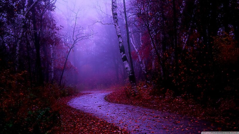 Path Through Autumn Forest — Purple, Mysterious