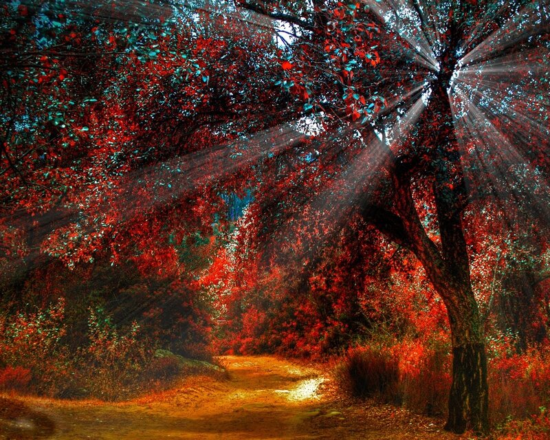 Path Through Autumn Forest — Red, Dramatic, Digital Art