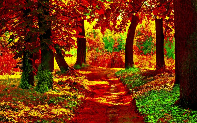 Path Through Autumn Forest — Red, Dramatic, Digital Art, Trees, Leaves
