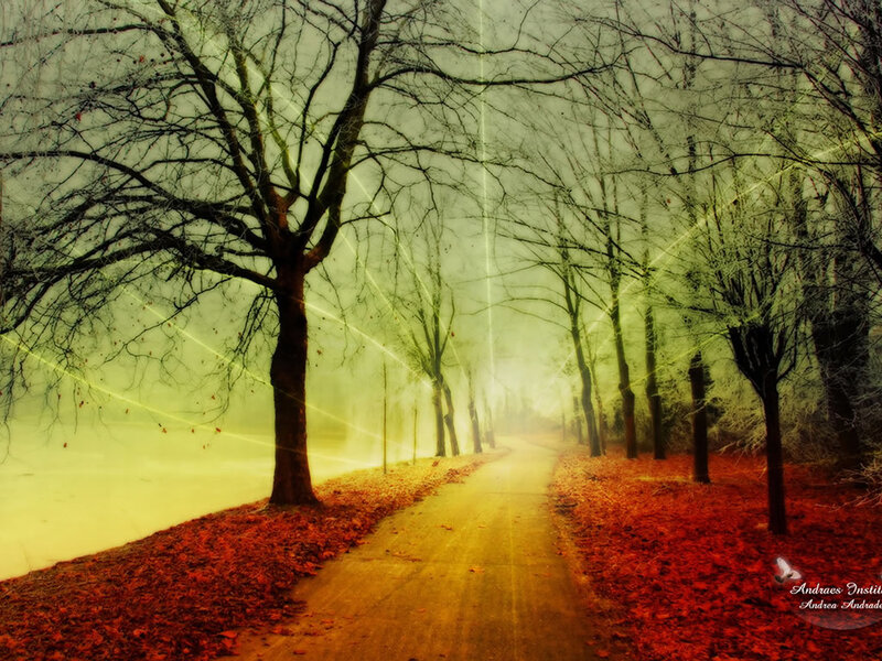 Path Through Autumn Forest — Red, Serene