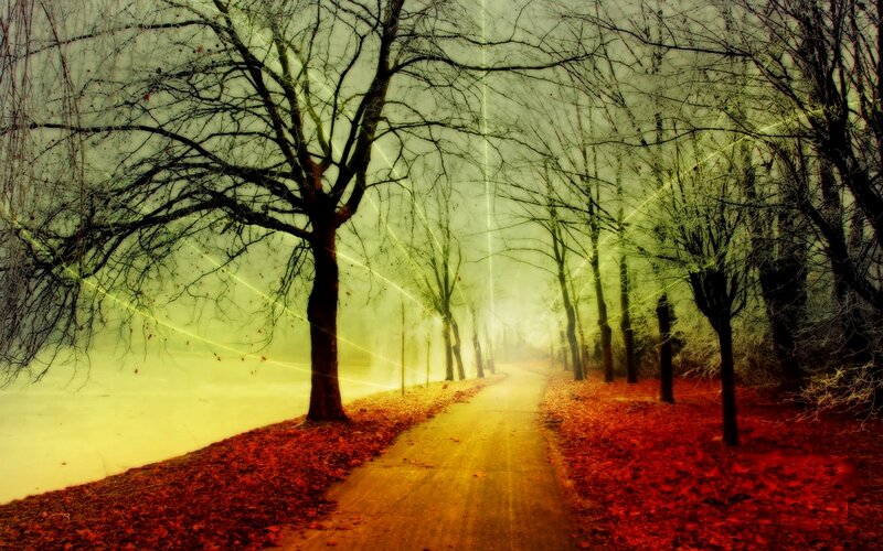 Path Through Autumn Forest — Yellow, Mysterious