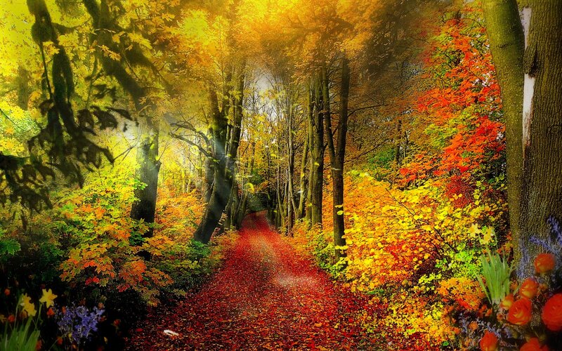 Path Through Autumn Forest — Yellow, Serene, Digital Art