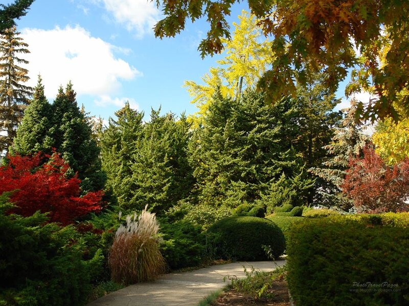 Path Through Autumn Garden