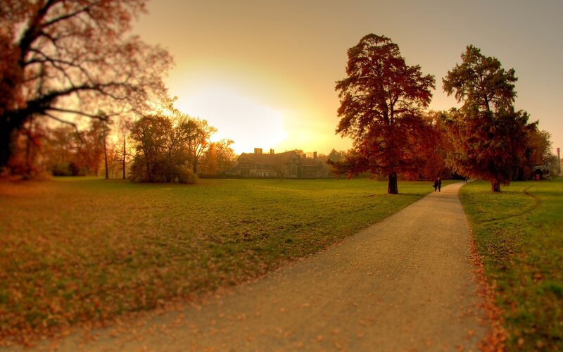 Path through autumn park at sunset